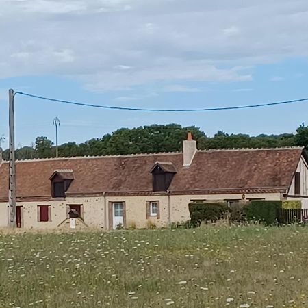 Saint-Jean-Froidmentel Gites Les Terriers מראה חיצוני תמונה